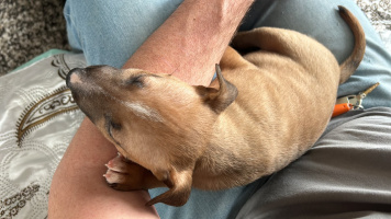 Холостяк в поисках постоянных взаимных встреч – Фото 1