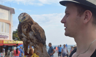 Познакомлюсь с девушкой  – Фото 1