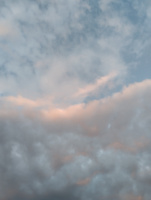 Ищу спортивную девушку для секса – Фото 1