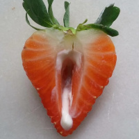 Хочу женщину . – Фото 1