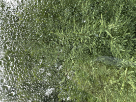 Ищу встречи с девушкой  – Фото 1