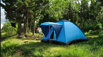 Кто готов к сексу на природе? – Фото 1