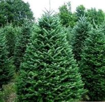 Мужчина ищет женщину 30-60 лет. – Фото 1