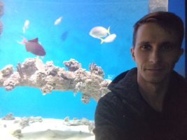 Парень 31 год, выгляжу моложе своих лет, приятный и симпатичный(вроде) (175/60)  – Фото 1