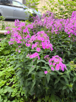 Знакомлюсь  – Фото 1