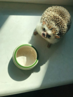 Студент ищет девушку старше себя – Фото 1