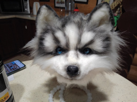 Ищу женщину для секса в Череповце – Фото 1