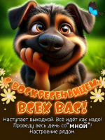 Ищу для секса – Фото 1