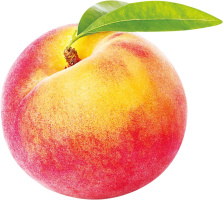 Ищу девушку для вкусного секса! – Фото 1