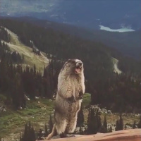 Ищу ту самую, которая знает чего хочет – Фото 1