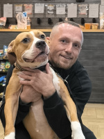 Женщины пишите кто хочет познакомиться. – Фото 1