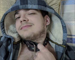 Послушный мальчик в поиске  – Фото 1