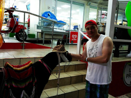 Секс без обязательств  – Фото 1