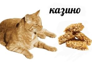 Любые предложения  – Фото 1