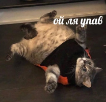 Ищу девушку, женщину из Пскова – Фото 1